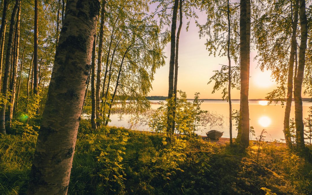 Loma kirkastaa ajatukset