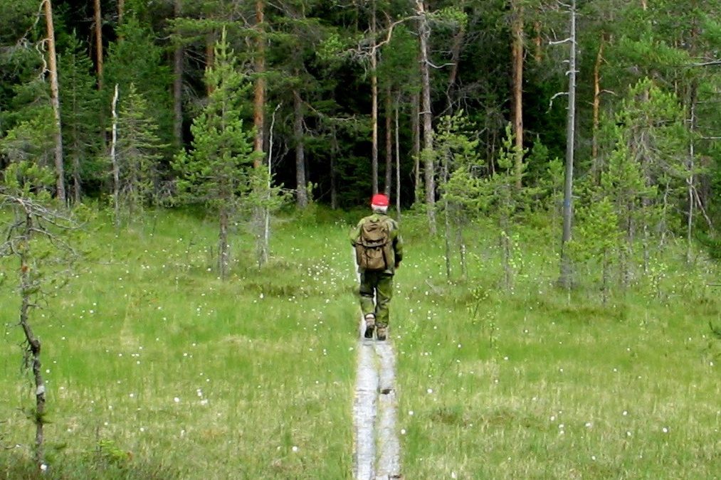 Tehdäänkö tulevaisuus tänään?